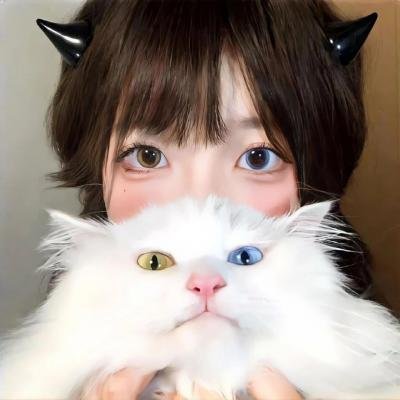 第四十一
